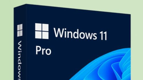 Windows 11 Pro // Source : Microsoft