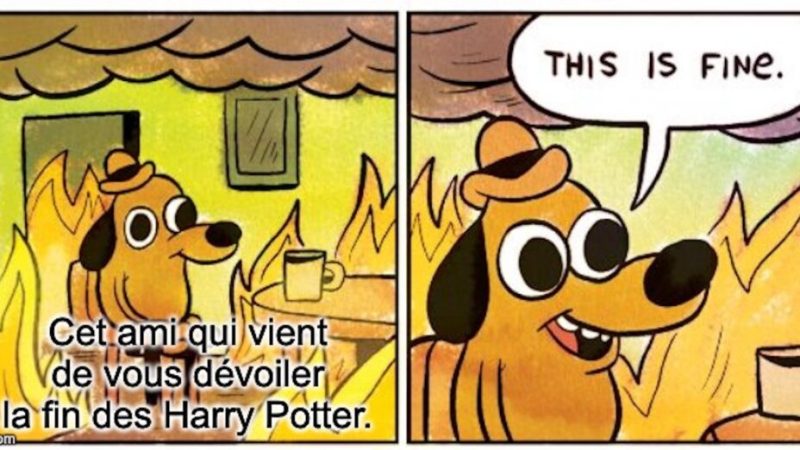 Que risque-t-on légalement si on spoile ?