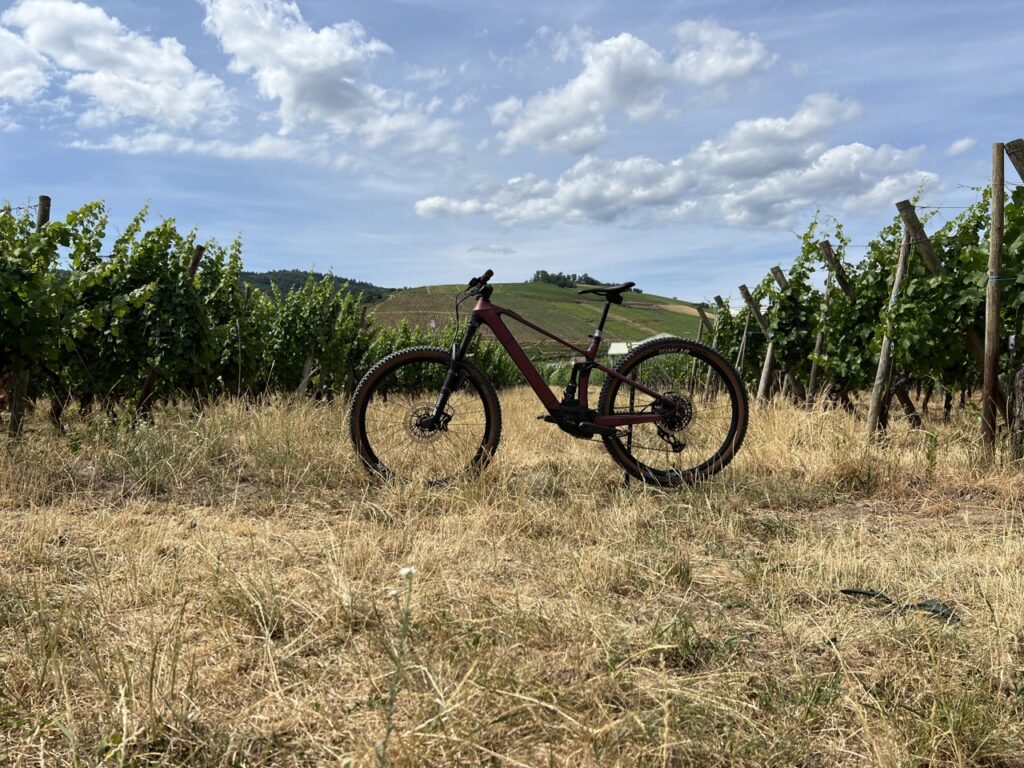 Un VTT équipé d'un Bosch Performance CX // Source : Julien Cadot pour Numerama