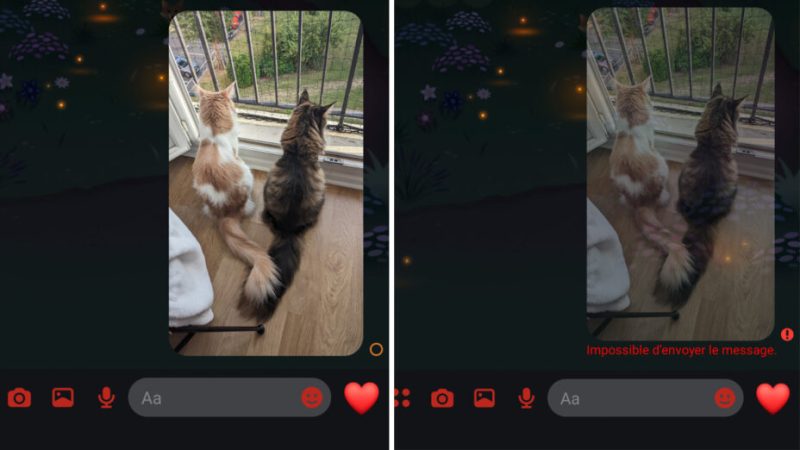Bug général sur Messenger et Instagram : il est impossible d’envoyer des images