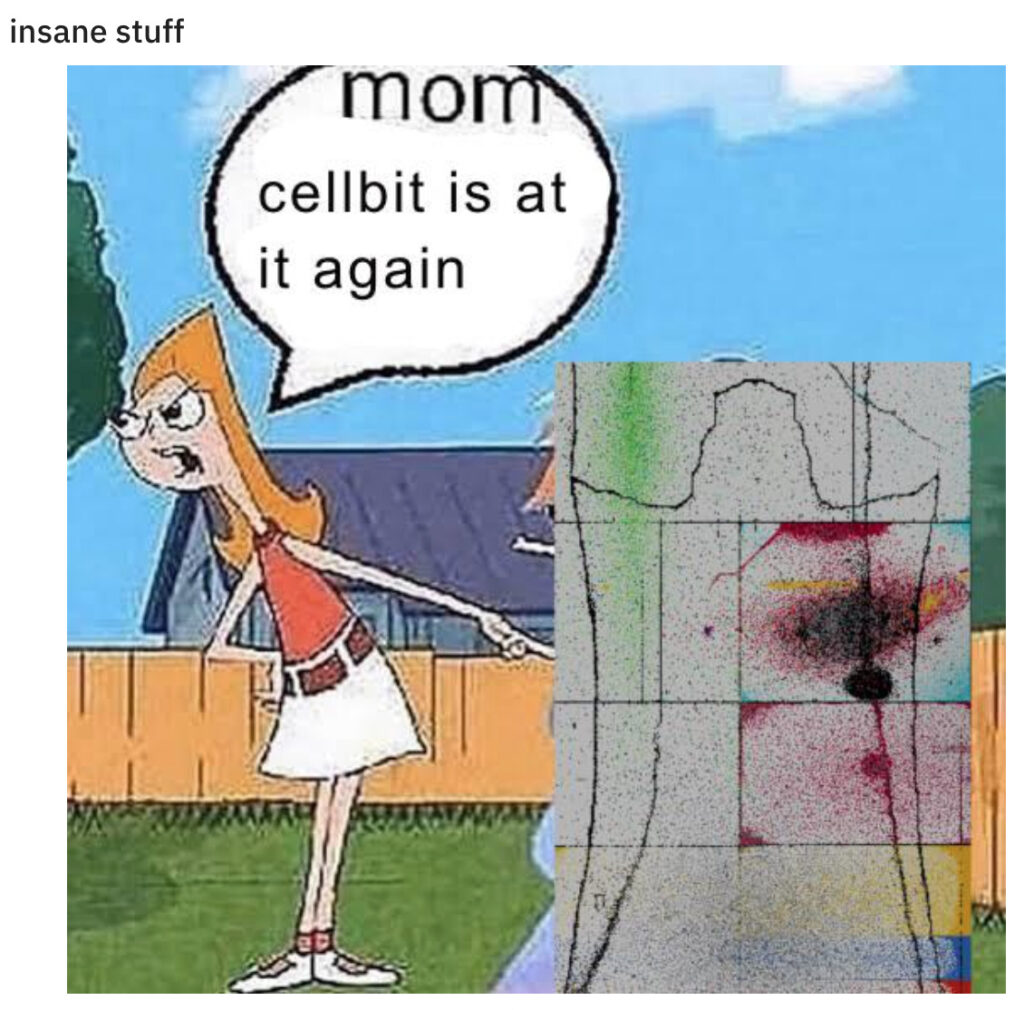 Maman, Cellbits recommence ! // Source : Reddit