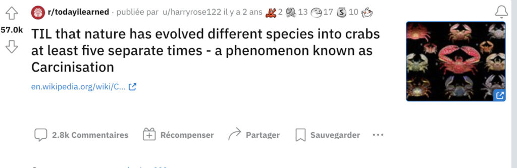 « Aujourd'hui j'ai appris que la nature avait transformé des espèces différentes en crabes au moins cinq fois - un phénomène connu sous le nom de carcinisation. » // Source : Reddit