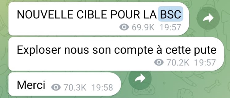 Capture d'écran d'un message envoyé par Bassem sur sa chaîne Telegram