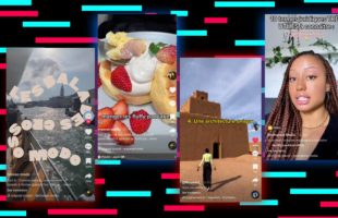 Notre sélection TikTok du mois d'août.  // Source : Montage Numerama. Captures d'écran TikTok.