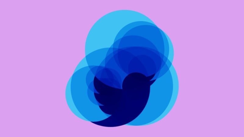 Les petits secrets de l’oiseau bleu, le logo de Twitter tué par Elon Musk