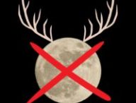 La « super Lune du cerf » n'existe pas. // Source : Canva