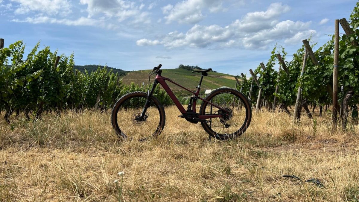 Un VTT équipé d'un Bosch Performance CX // Source : Julien Cadot / Numerama