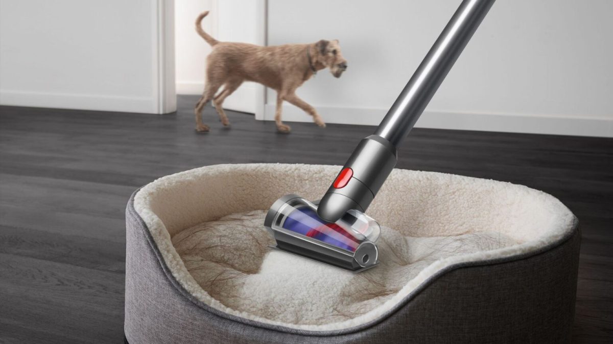 L'aspirateur sans fil Dyson V15 Detect Absolute se montre particulièement efficace sur les poils d'animaux // Source : Dyson