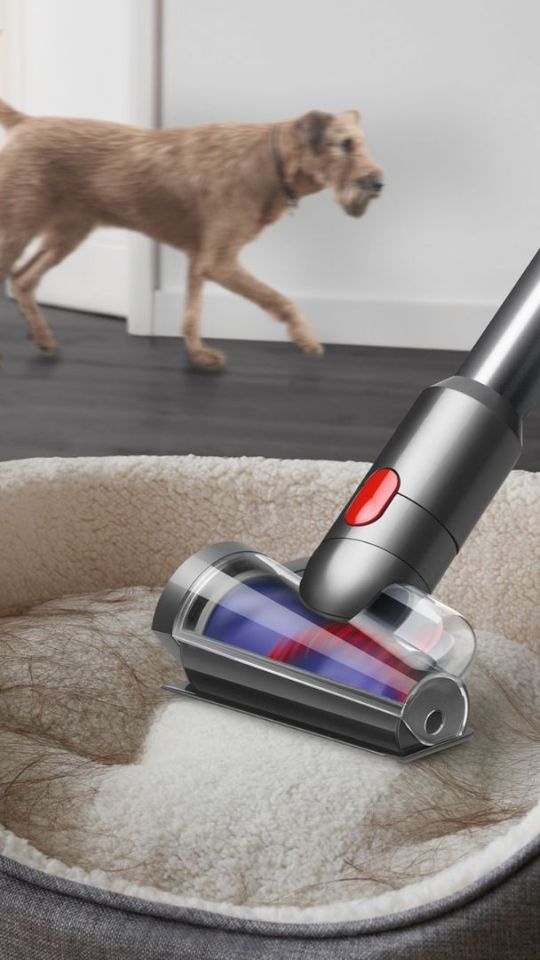 L'aspirateur sans fil Dyson V15 Detect Absolute se montre particulièement efficace sur les poils d'animaux // Source : Dyson