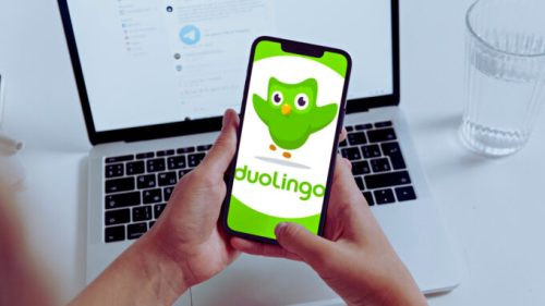 Des données d'utilisateurs DuoLingo sont en ligne. // Source : Canva / Duolingo