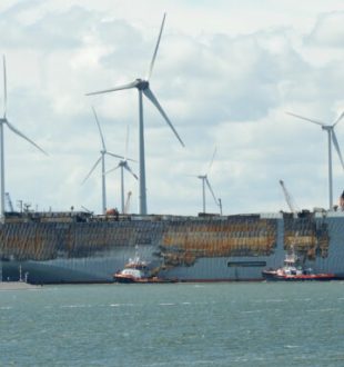 Fremantle Highway à son arrivée dans le port d'Eemshaven  // Source :  Rijkswaterstaat