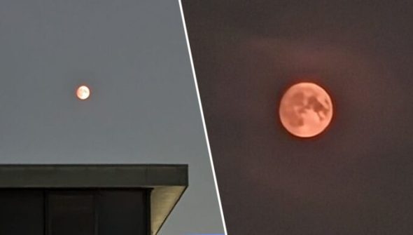Lune rousse ce mardi 29 août 2023 au soir. // Source : Marcus Dupont-Besnard