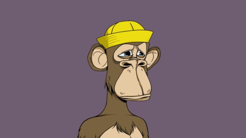 Les NFT Bored Ape ne valent plus un kopeck et licencient