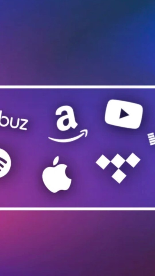 Apple Music, Spotify, YouTube Music, Deezer, Tidal, Amazon Music, Qobuz // Source : Frandroid
