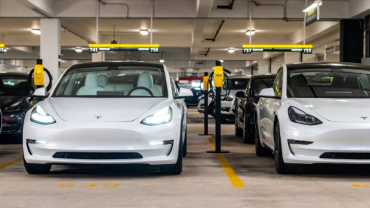 Des Tesla Model 3 chez Hertz. // Source : Hertz