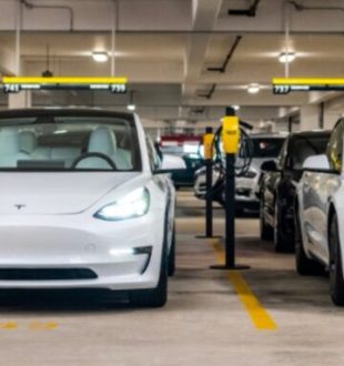 Des Tesla Model 3 chez Hertz. // Source : Hertz