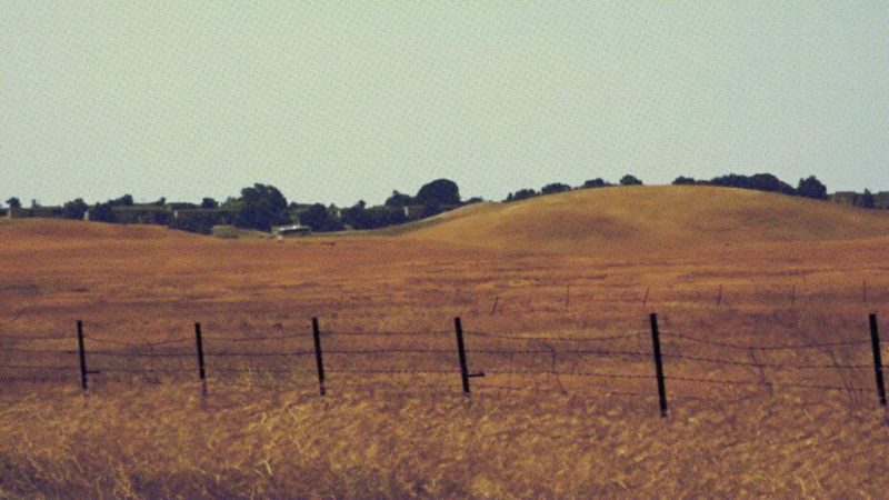 Des milliardaires de la tech veulent construire une ville futuriste dans la Silicon Valley