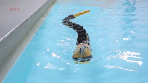 Ce robot nage comme un poisson - Sciences et Avenir