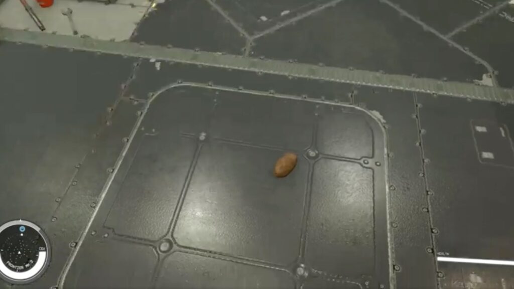 Une pomme de terre dans Starfield // Source : Reddit