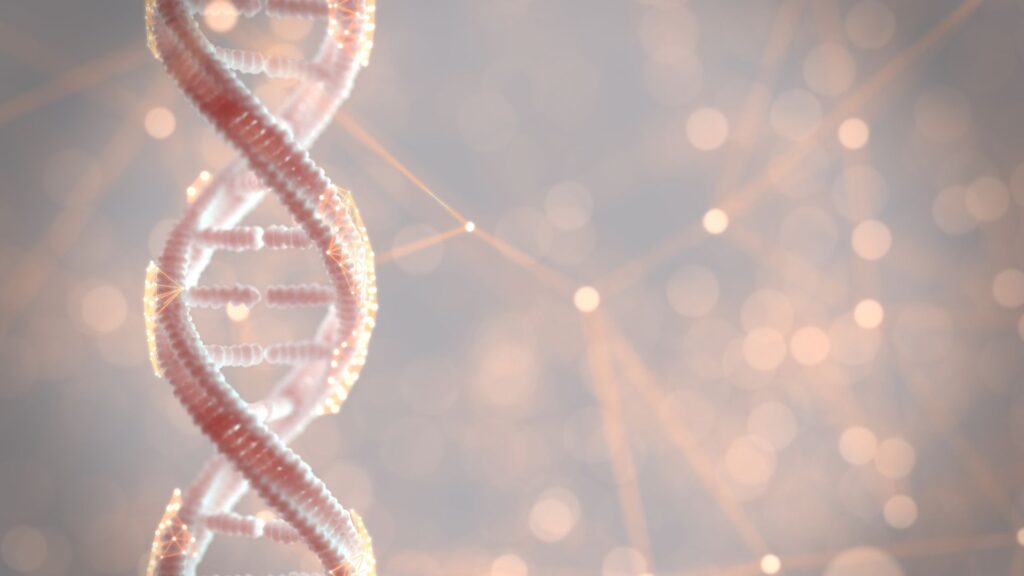 DNA.  // Bron: Canva