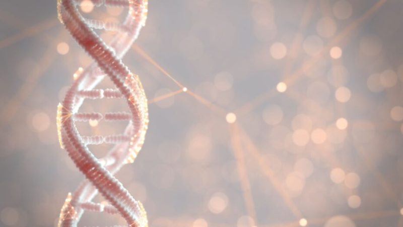 Au fait, c’est quoi l’ADN ?