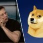 Elon Musk et le Dogecoin // Source : Montage Numerama / Photo : Wikimedia Commons