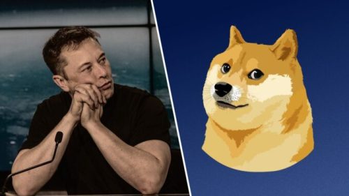 Elon Musk et le Dogecoin // Source : Montage Numerama / Photo : Wikimedia Commons