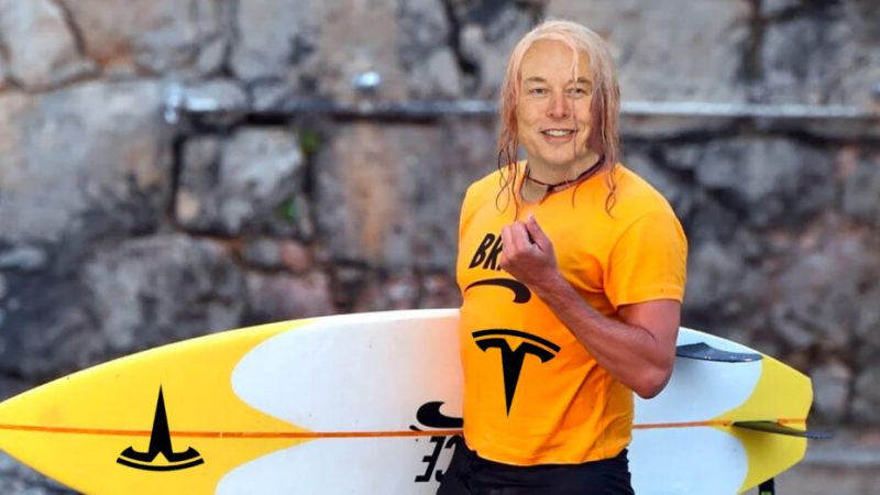 Elon Musk est presque français : il a été conçu à Nice