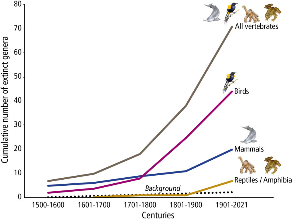 Taux de disparition des genres de vertébrés.  // Source : PNAS/sept2023/Gerardo Ceballos, Paul R. Ehrlich