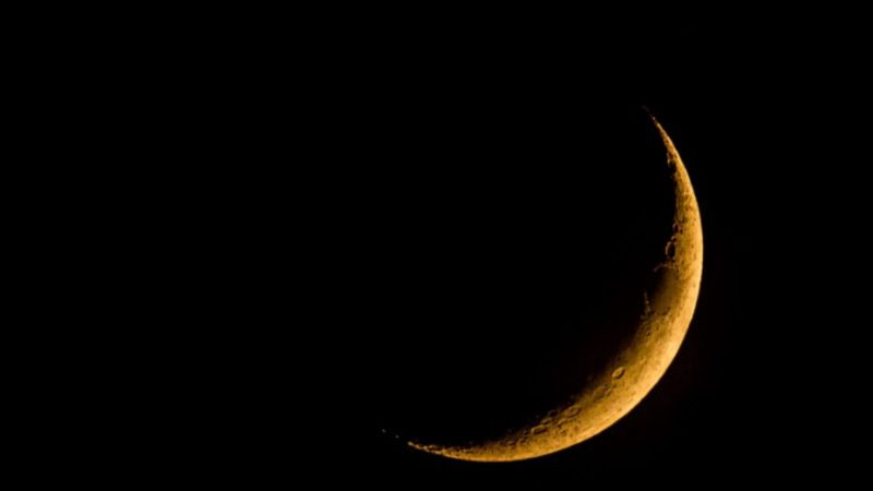 Pourrait-on vivre sans lumière ?
