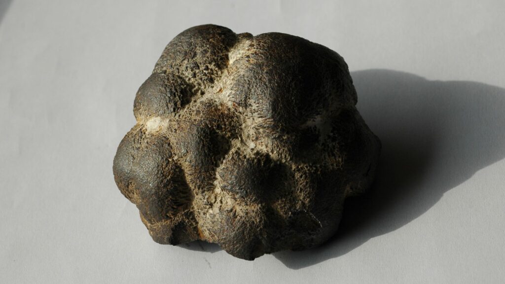 Ce n'est pas une météorite, mais du sulfure de fer (ou une marcassite). // Source : Flickr/CC/Muséum de Toulouse