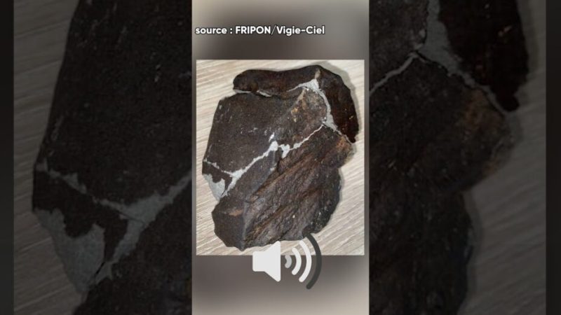 Écoutez ! C’est le bruit d’une météorite qui tombe (FRIPON/Vigie Ciel)