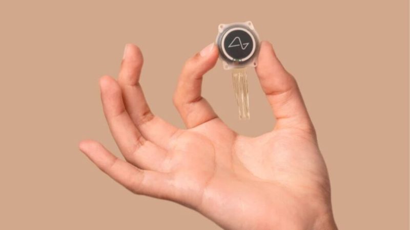 Neuralink : qui vont être les premiers cobayes de l’implant neural ?