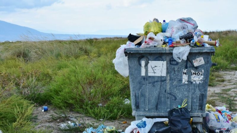 Quelles sont les 9 limites planétaires, dont 6 sont franchies ?