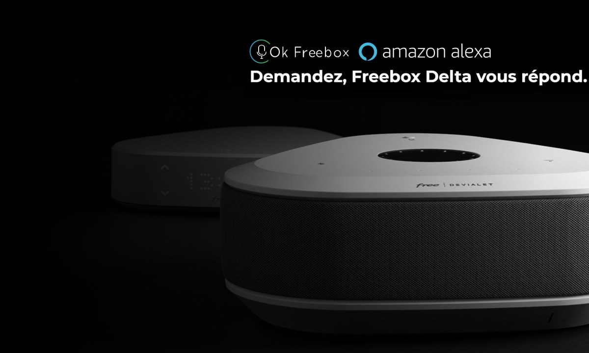 La Freebox Delta et OK Freebox. // Source : Free