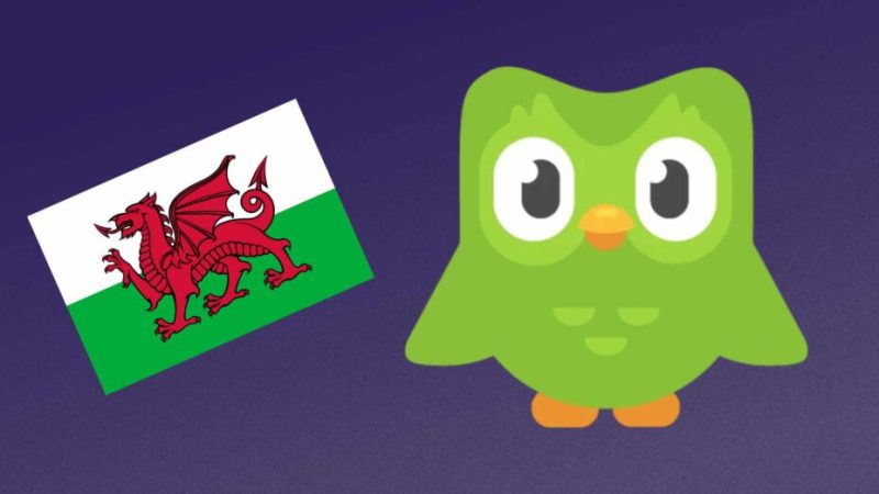 Duolingo arrête de mettre à jour ses cours de gallois, et c’est un séisme