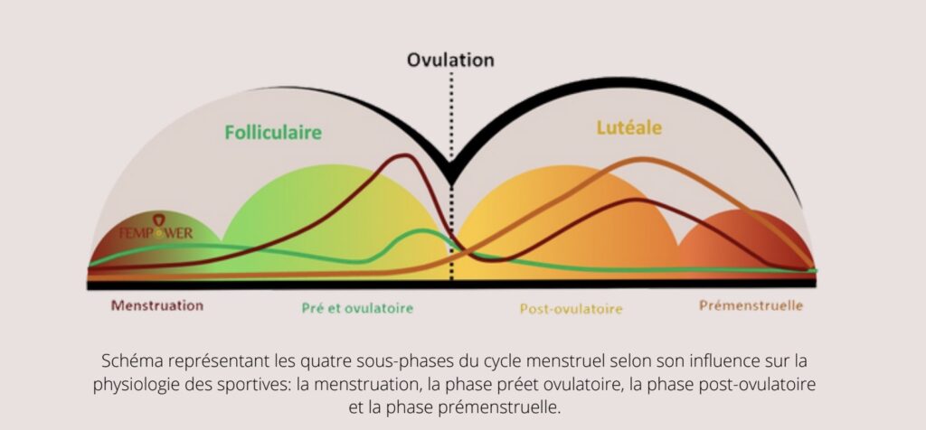 Extrait // Source : EBook Cycle et Sport