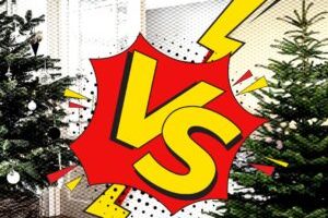 Quel sapin choisir en 2024 ? // Source : Montage Numerama