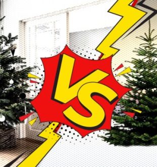 Quel sapin choisir en 2024 ? // Source : Montage Numerama