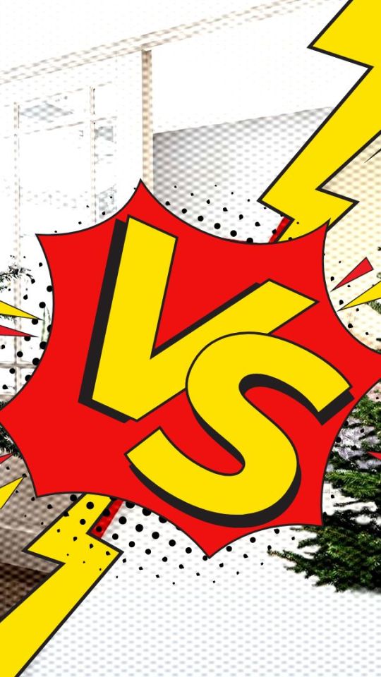 Quel sapin choisir en 2024 ? // Source : Montage Numerama