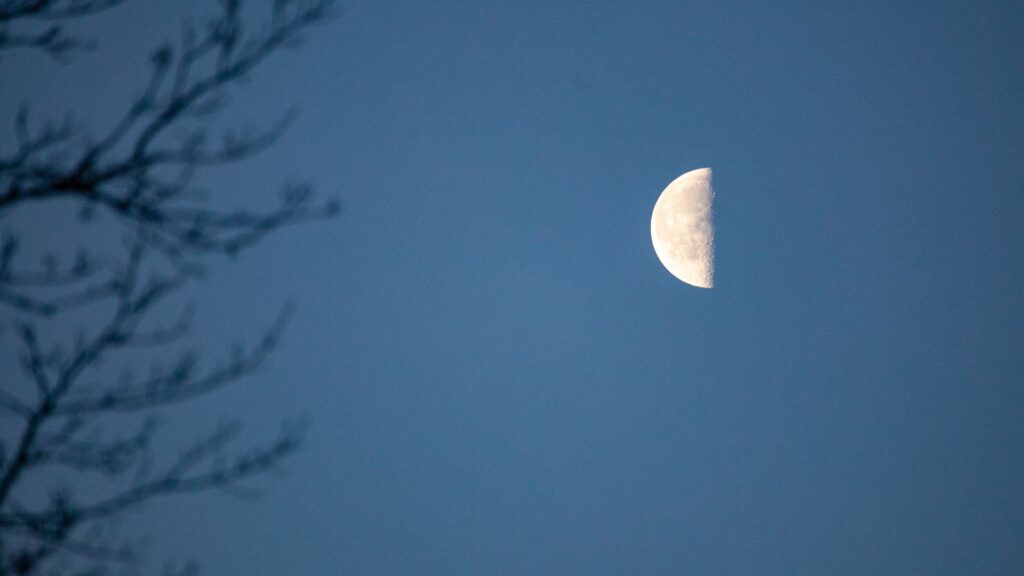 Demi-Lune dans l'obscurité. // Source : Canva