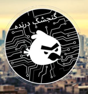 Le groupe Predatory Sparrow est derrière la cyberattaque contre l'Iran. // Source : Numerama / Unsplash