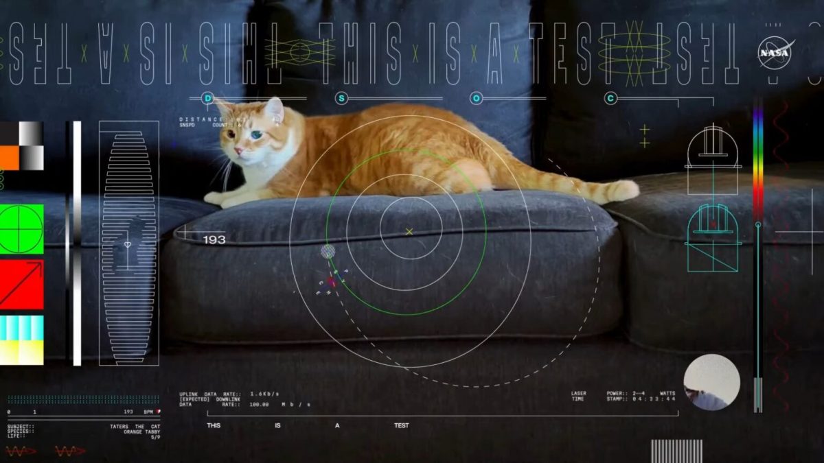 La vidéo du chat Taters. // Source : Capture d'écran YouTube JPL