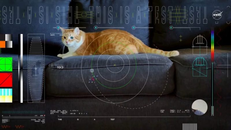 La Nasa a reçu une vidéo de chat depuis l’espace lointain