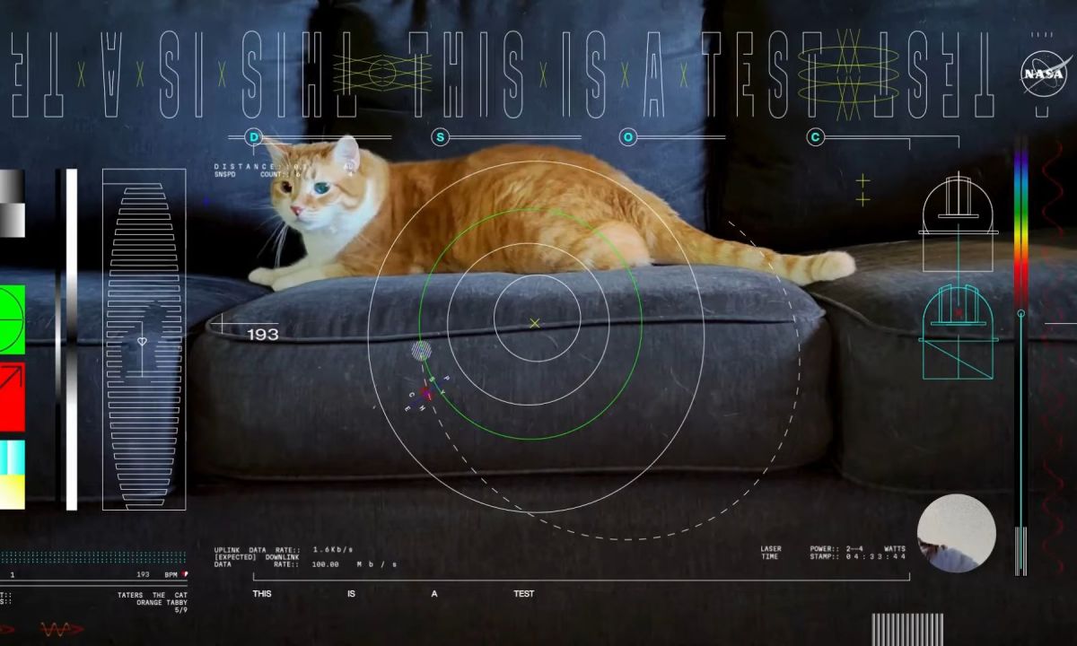 La vidéo du chat Taters. // Source : Capture d'écran YouTube JPL