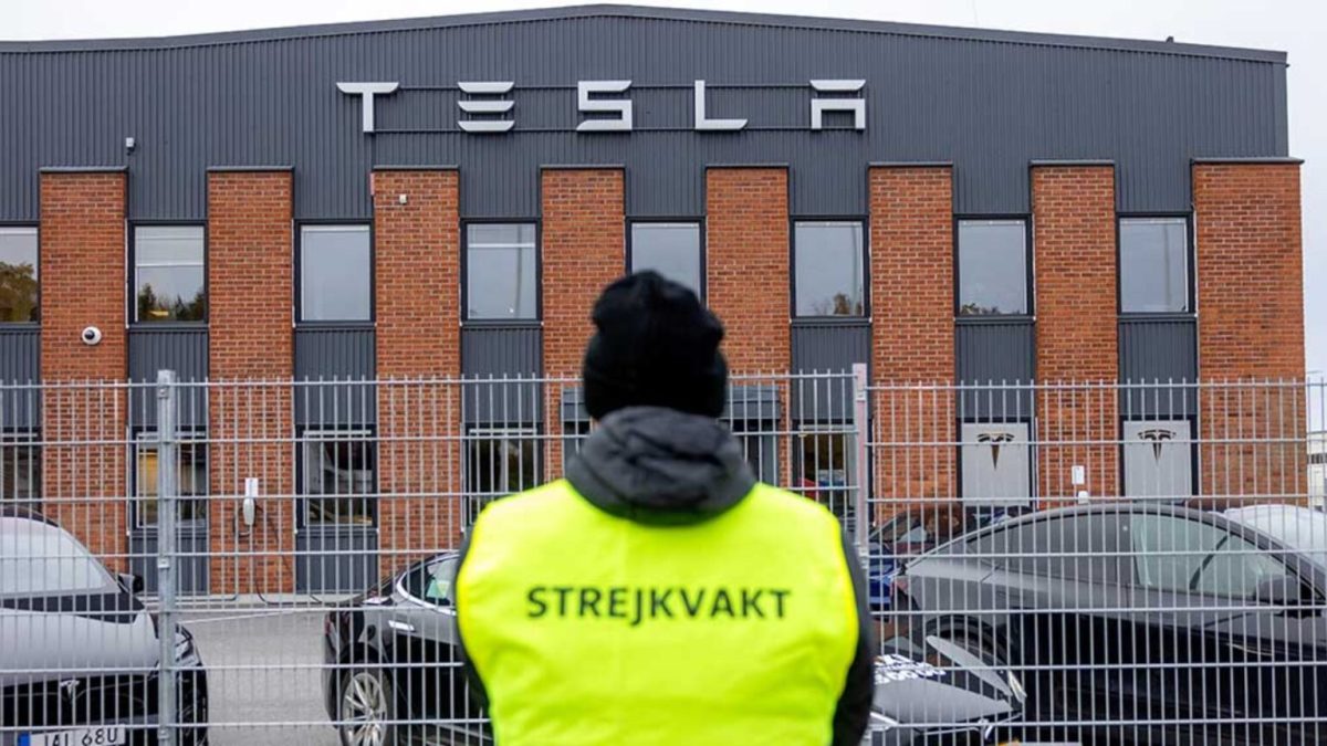 Greve Tesla en Suede // Source : IF Metall