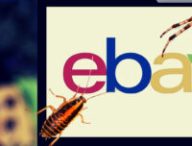 Des employés de eBay ont envoyé des cafards et araignées à un couple. // Source : Unspash