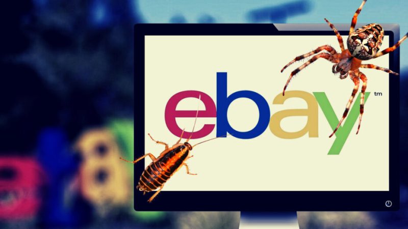 Cafards, fœtus de cochon, eBay va verser 3 millions d’euros à un couple pour harcèlement