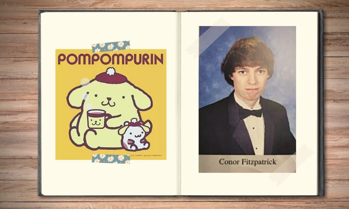 Conor Brian Fitzpatrick, alias Pompompurin, avait 20 ans quand il a été arrêté pour avoir administré le plus important forum de hackers. // Source : Numerama