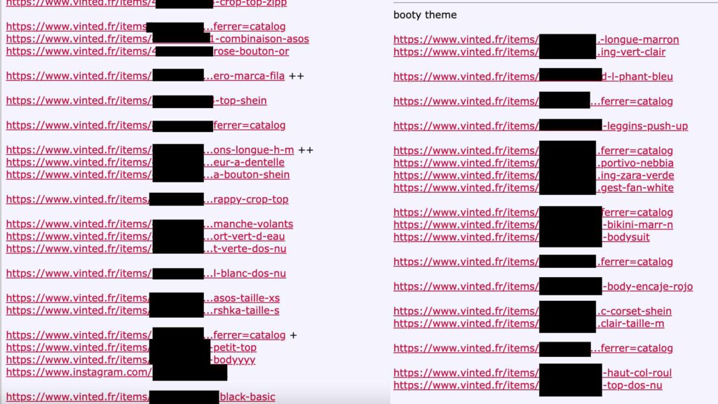 Des exemples de profils Vinted partagés sur des forums voyeuristes // Source : Capture d'écran et montage Numerama